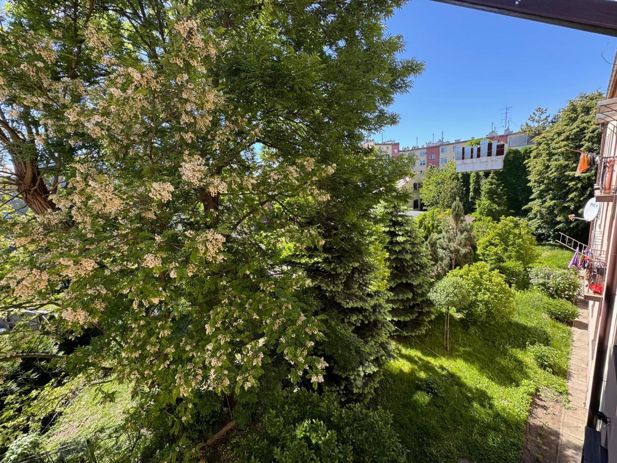 Apartament Akacja Centrum Rzeszów Exterior foto